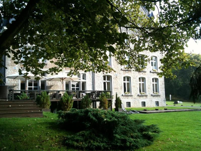 Chateau D Hassonville image