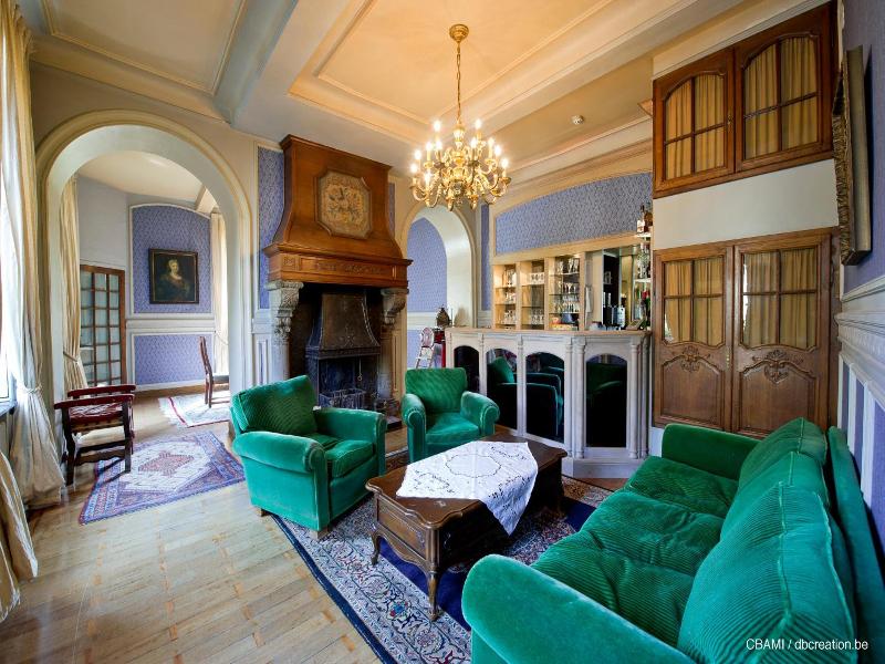 Chateau D Hassonville image