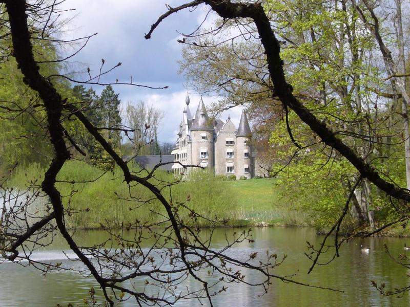 Chateau D Hassonville image
