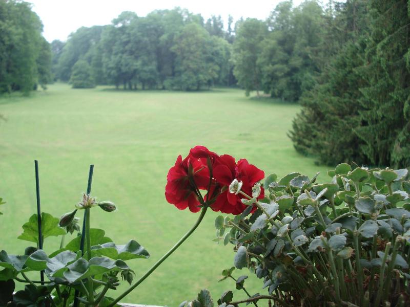 Chateau D Hassonville image