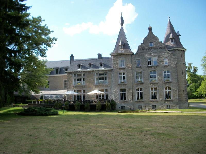 Chateau D Hassonville image