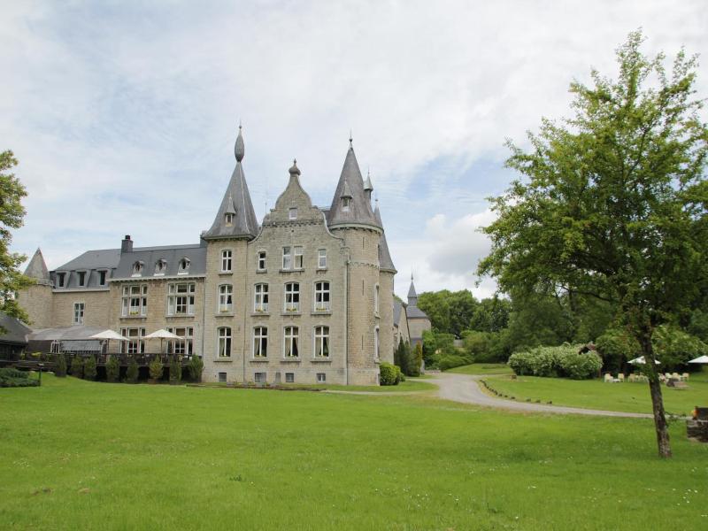Chateau D Hassonville image