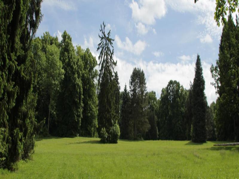 Chateau D Hassonville image