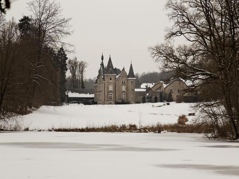 Chateau D Hassonville image