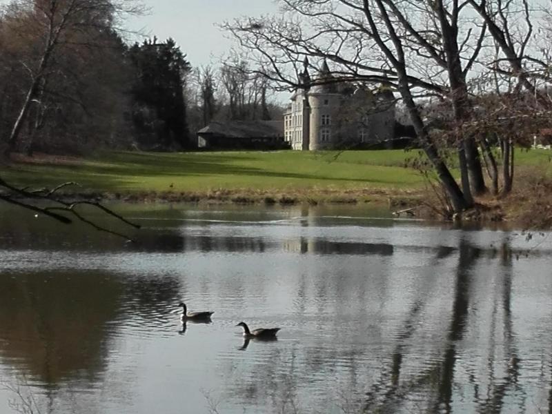 Chateau D Hassonville image