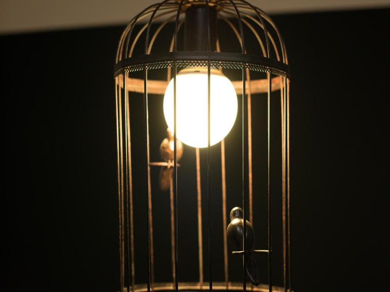 Bird House image