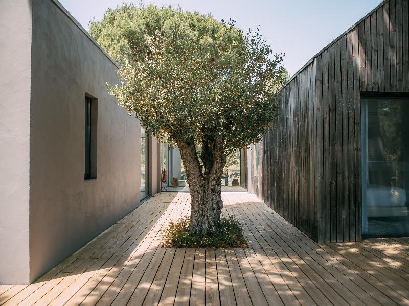 Sublime Comporta image