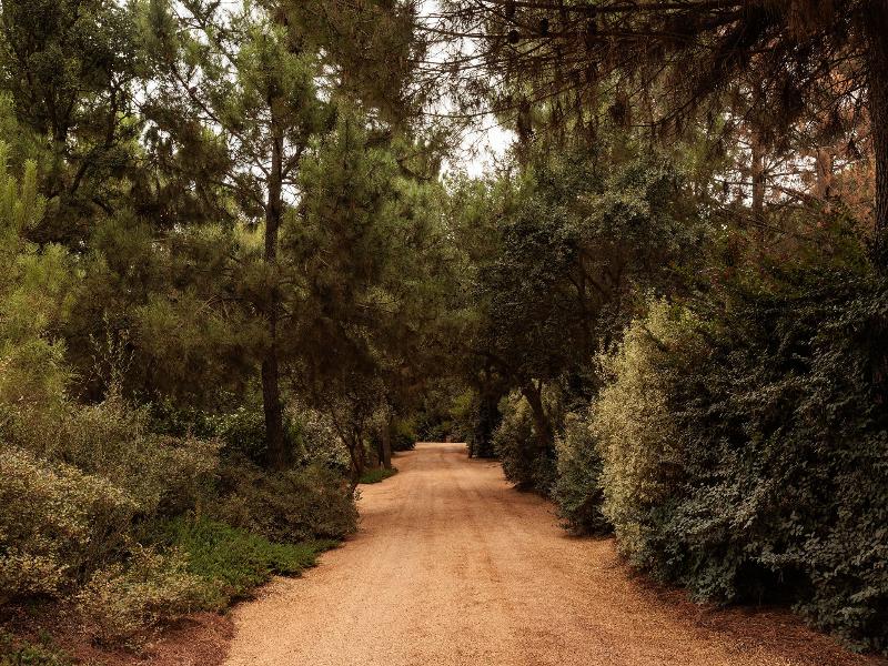 Sublime Comporta image