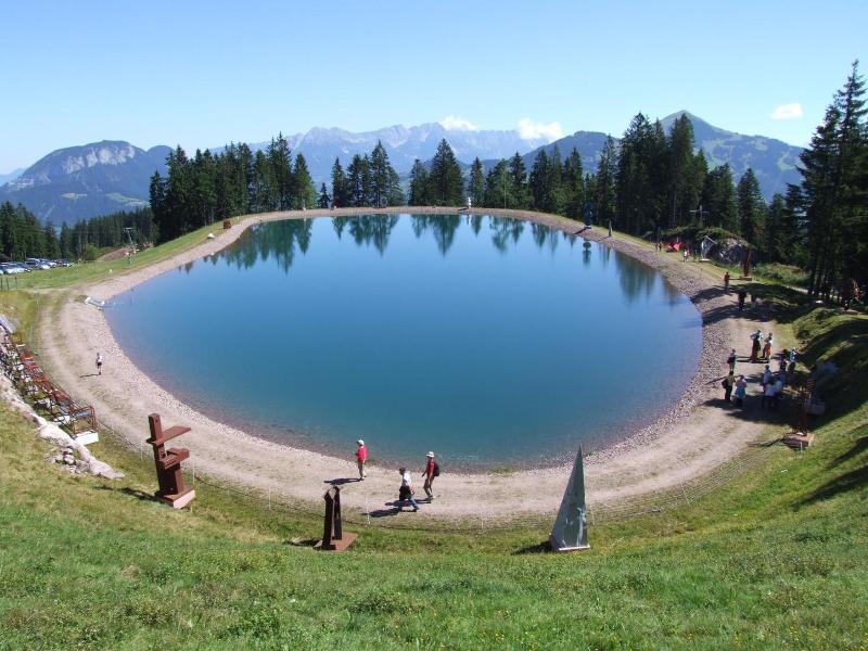 Hotel Schweizerhof image