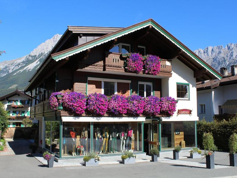 Alpking Hostel image