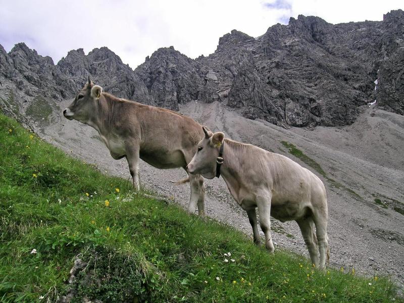 Naturhotel Lv Rchenhof image