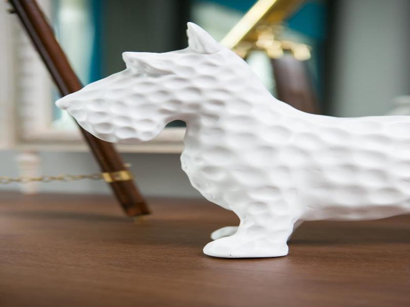 Dog And Fox image