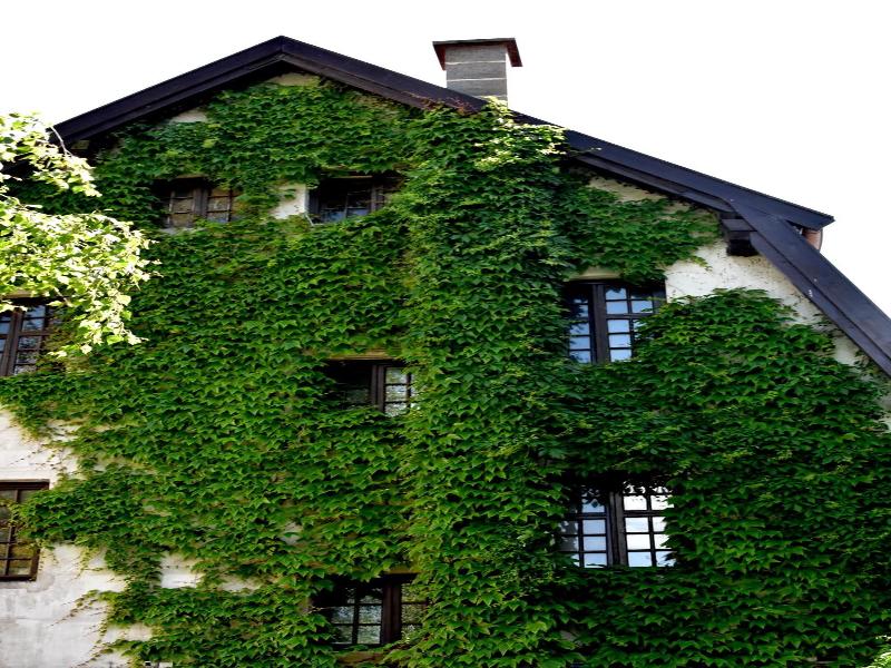 Hostel Przy Targu Rybnym