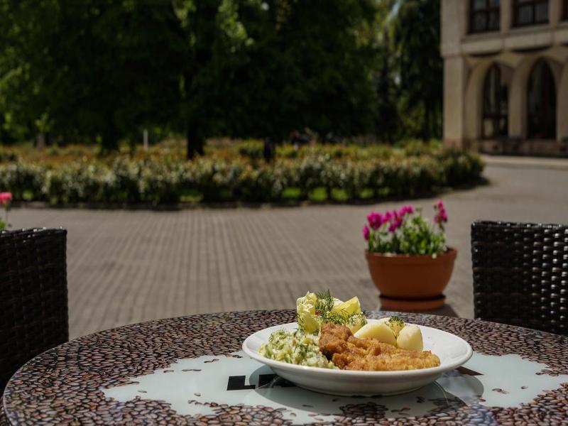 Hotel Zamek Pu Ctusk Dom Polonii image