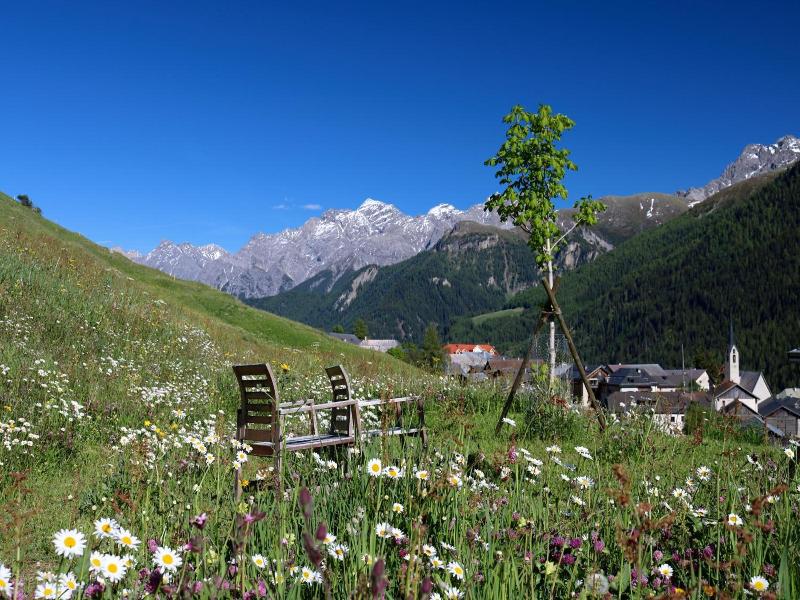 Guarda Lodge image