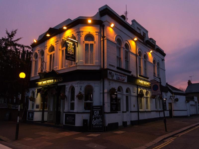 The Milford Arms image