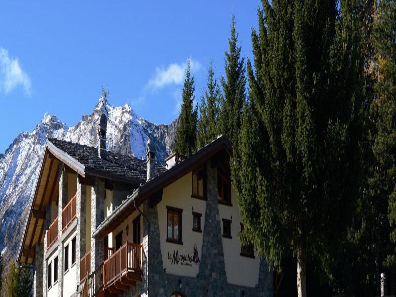 Residence Les Myosotis image