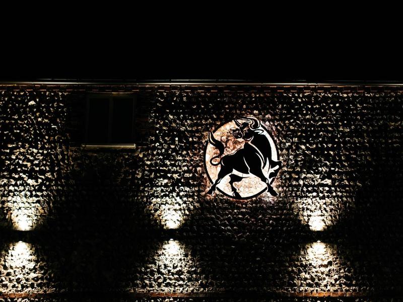 The Bull image