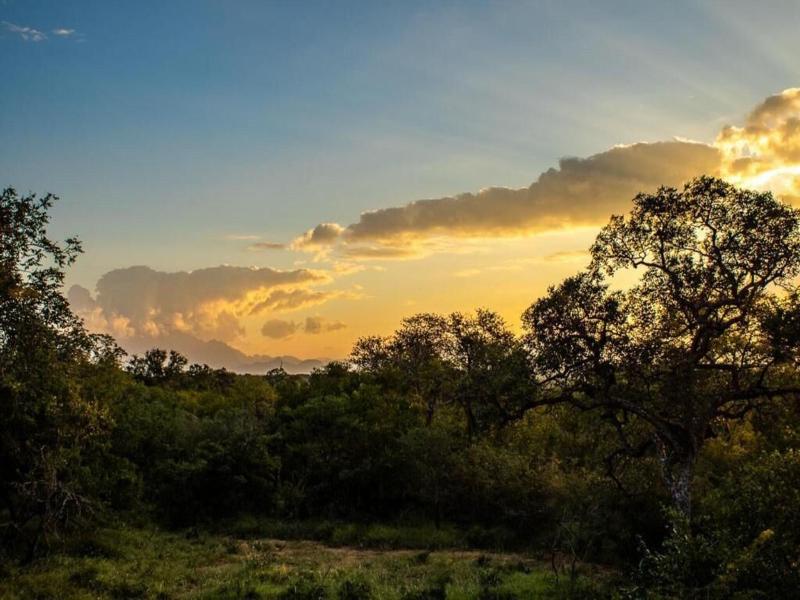 Rafiki Bush Lodge image