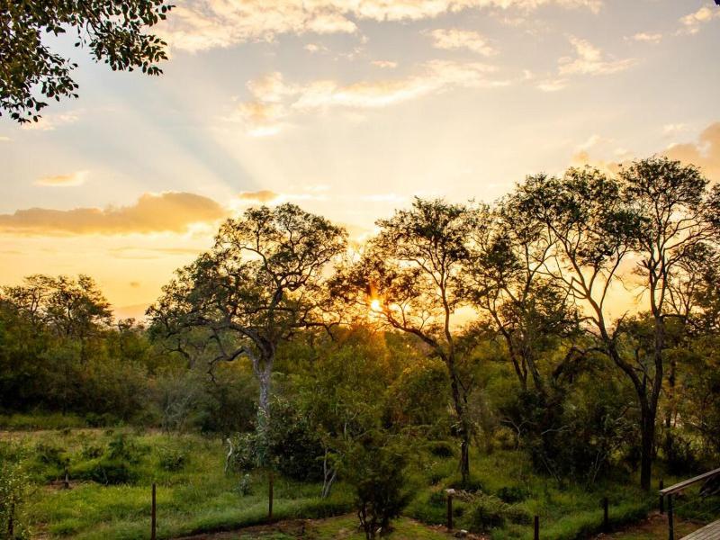 Rafiki Bush Lodge image