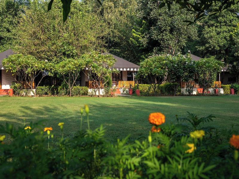 Jungle Cave Resort image