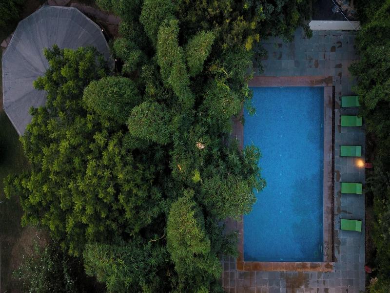 Jungle Cave Resort image