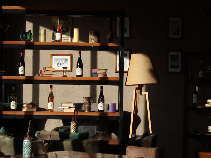 Alpine Lounge Kazbegi
