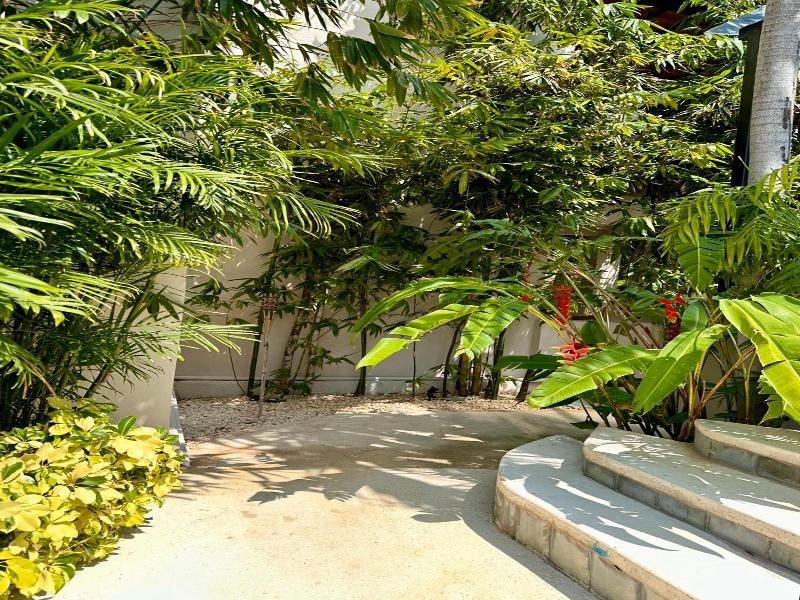 Pachamaya Holistic Wellness & Spa - Adults Only image