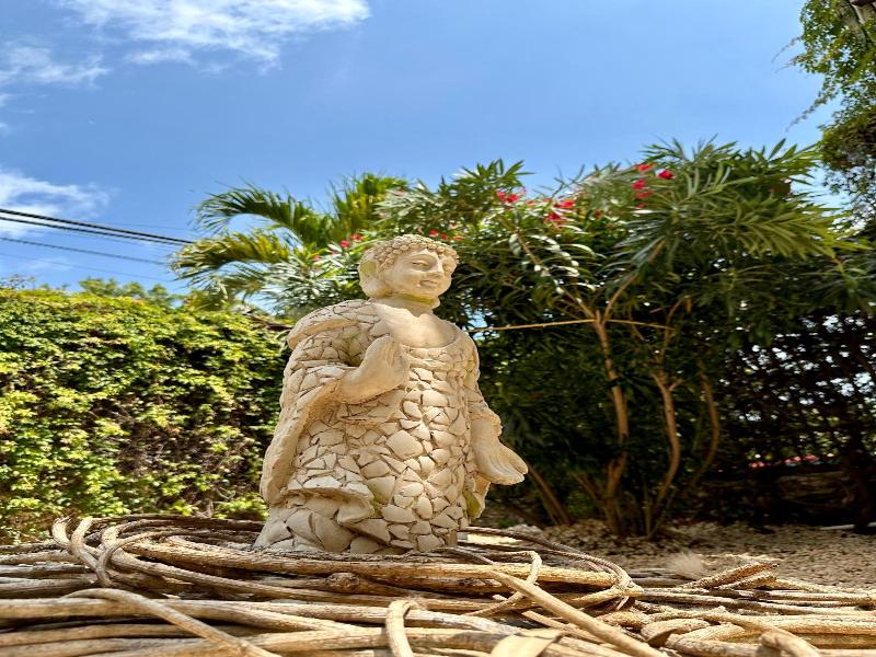 Pachamaya Holistic Wellness & Spa - Adults Only image