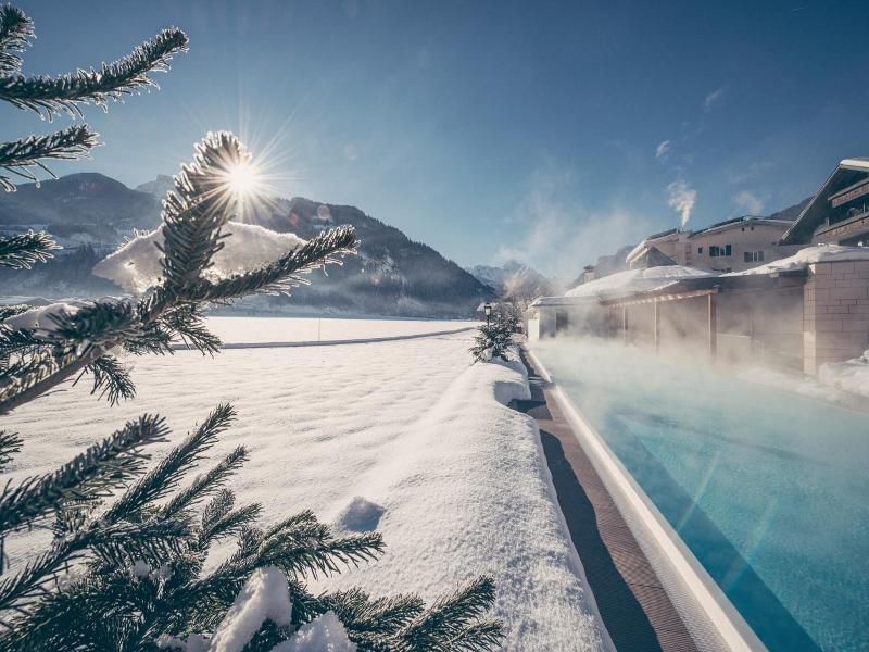 Theresa Wellness Genievuer Hotel image