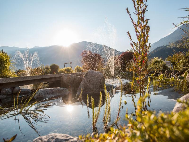 Theresa Wellness Genievuer Hotel image