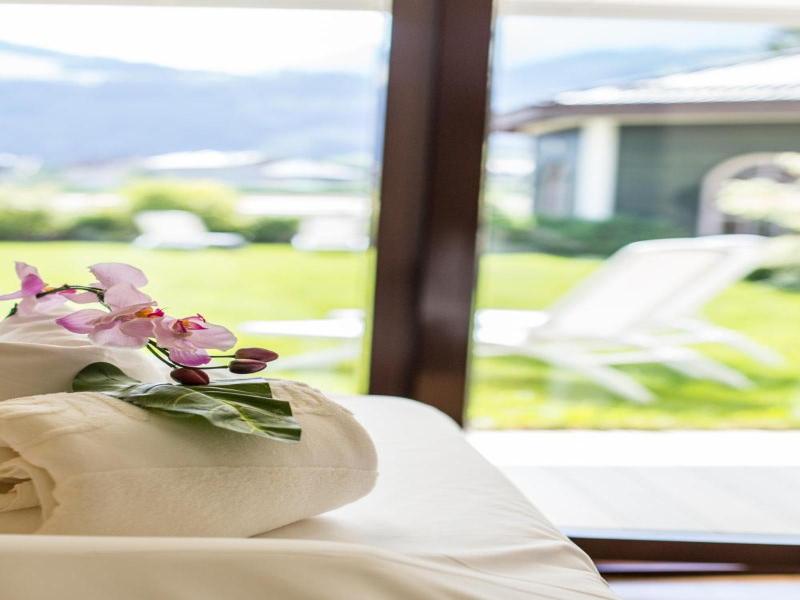 Theresa Wellness Genievuer Hotel image
