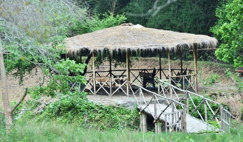 Jungle Hut Resorts — photo 2