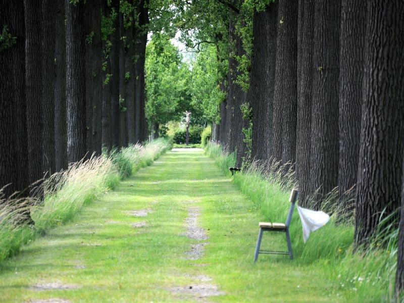 Herberg De Brabantse Kluis image