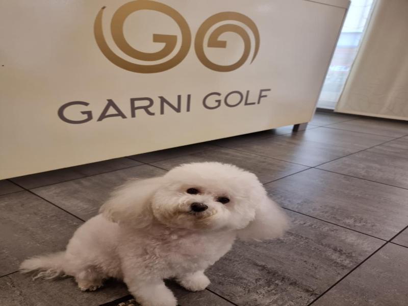 Hotel Garni Golf image