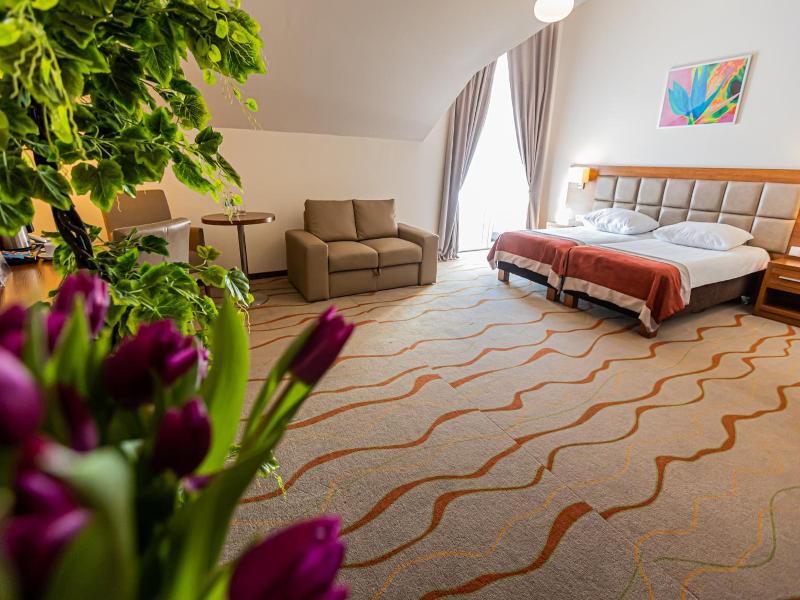 Hotel Olivia Medical Spa image