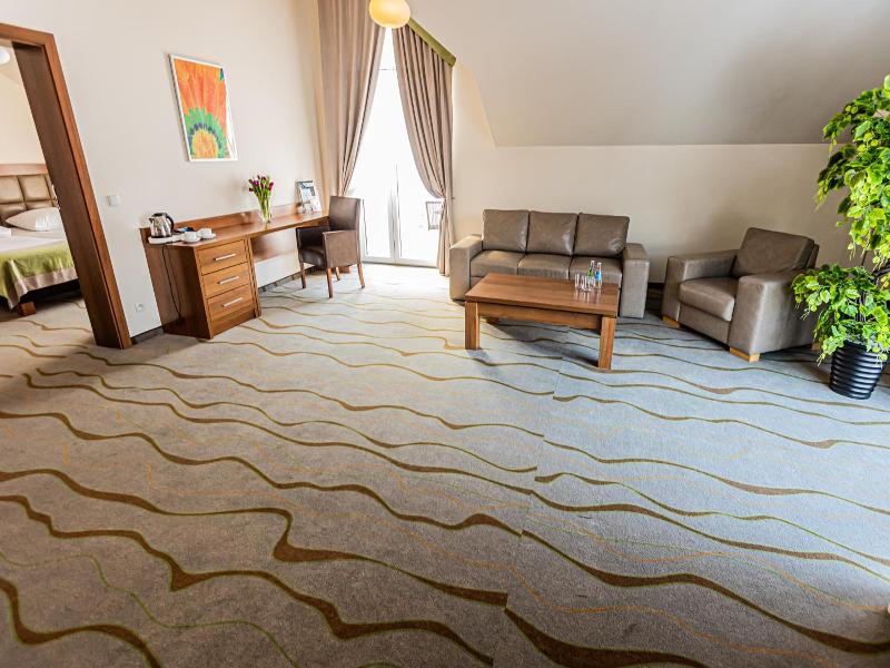 Hotel Olivia Medical Spa image
