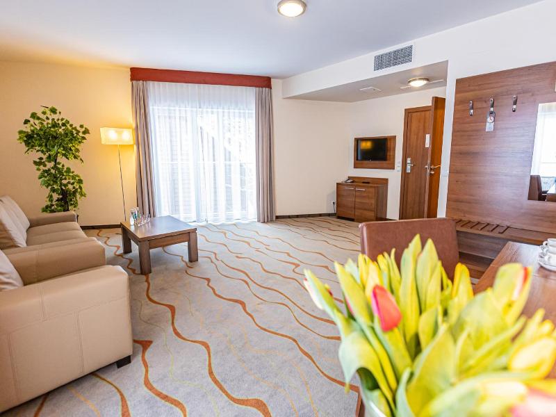 Hotel Olivia Medical Spa image