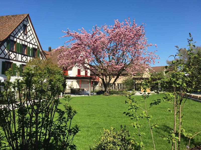 Ferienhotel Bodensee image