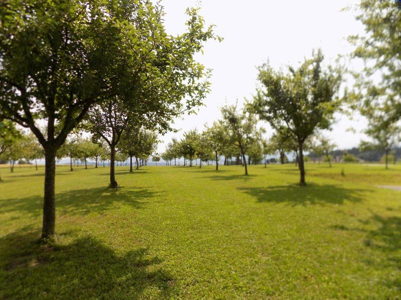 Mostlandhof image