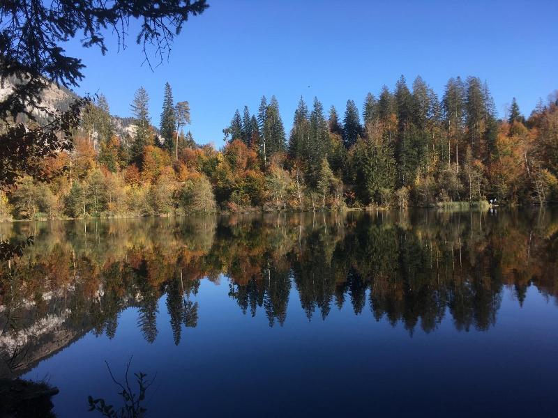 Jugendherberge Trin image