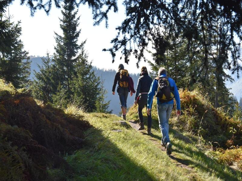 Jugendherberge Trin image