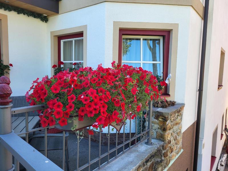 Hotel Garni Landhaus Trenkenbach image