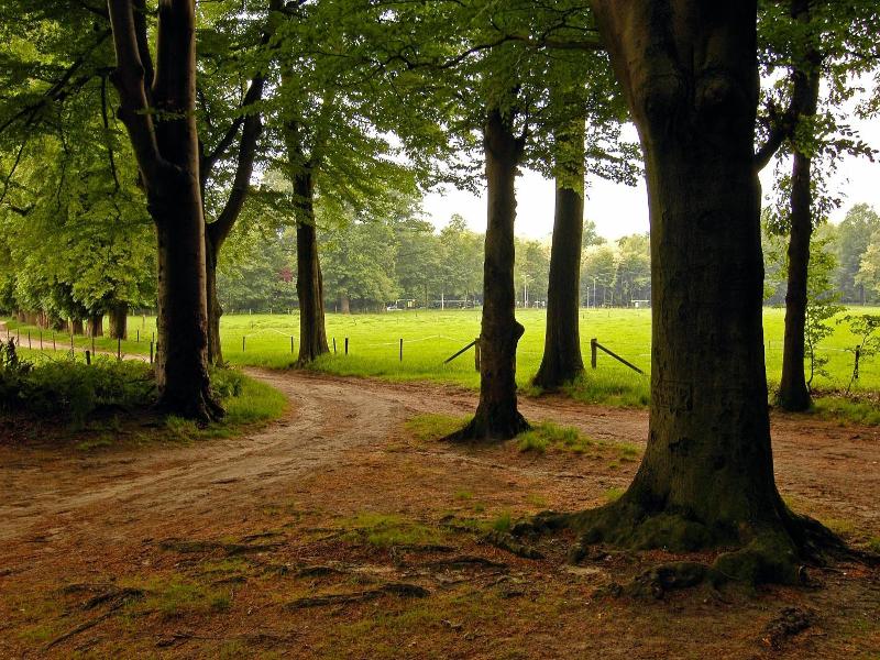 Landgoed Ehzerwold image