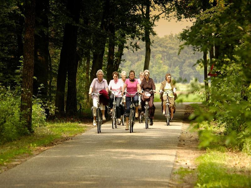 Landgoed Ehzerwold image