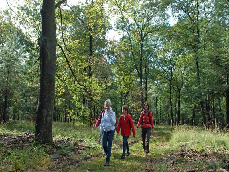 Landgoed Ehzerwold image