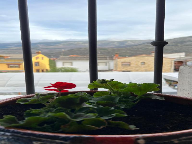 Hotel Alma Rosa image