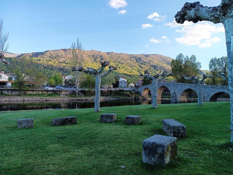 Hotel Alma Rosa image