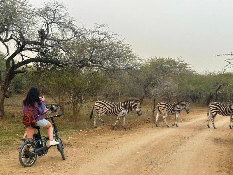 Kruger Park Hostel image