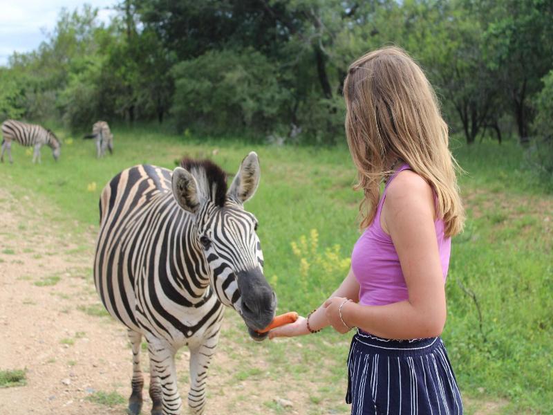 Kruger Park Hostel image